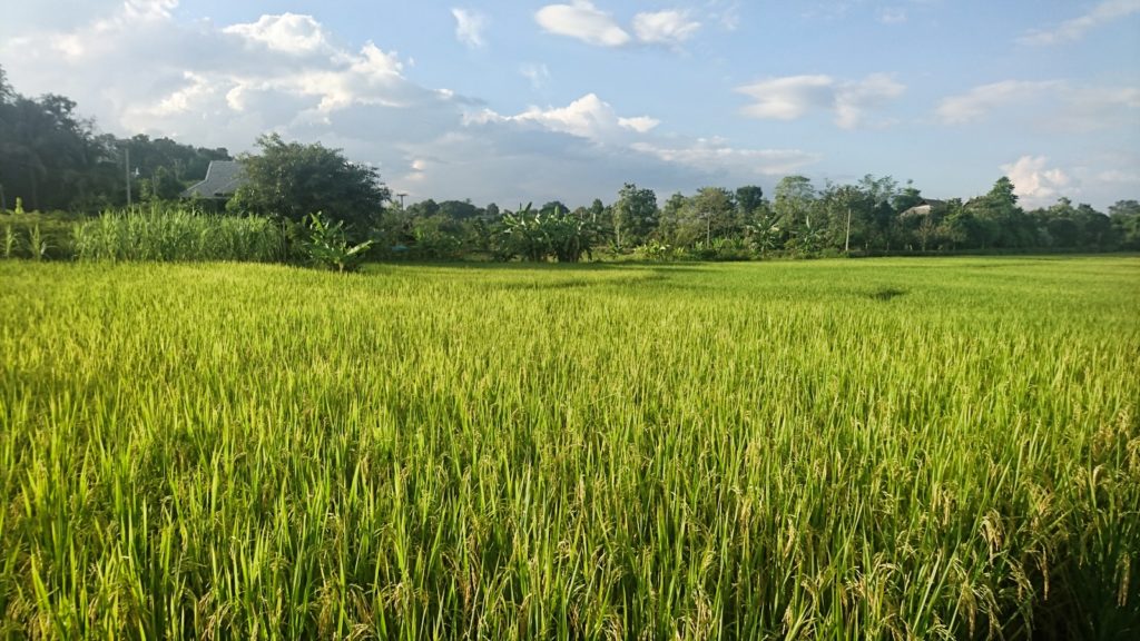 chiang-mai-lanna